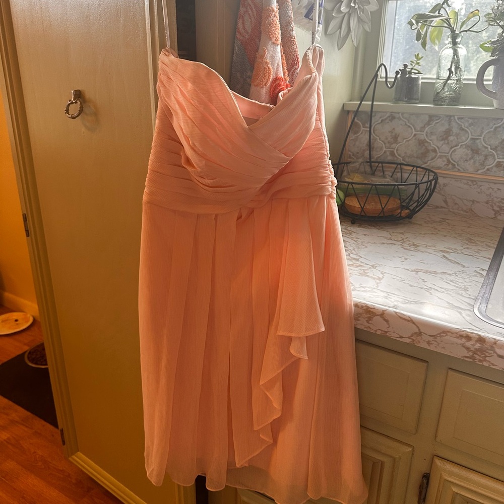 David's Bridal Blush Gown